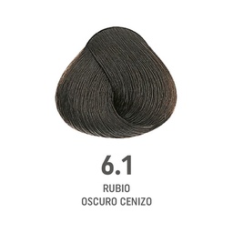 [8022297202440] TINTE COLOR AMORE ALFAPARF #6.1 (8022297128078)