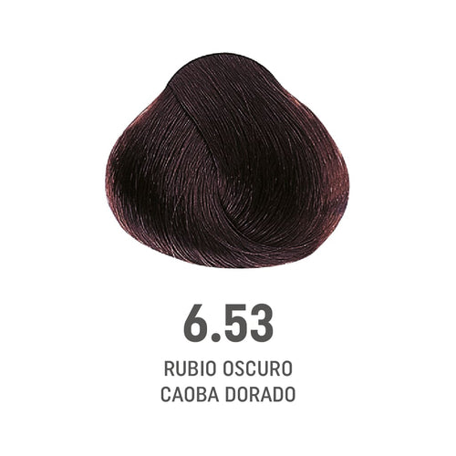 TINTE COLOR AMORE ALFAPARF #6.53 (8022297128207)