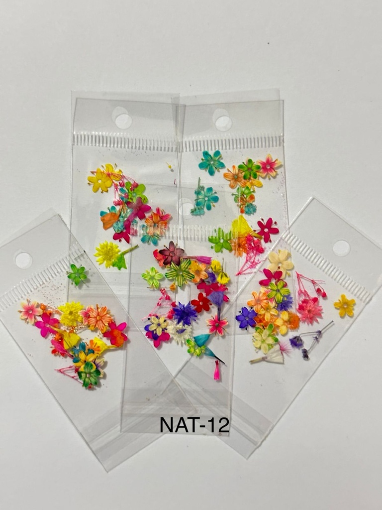 NATURALEZA MUERTA 12 VARIOS COLORES