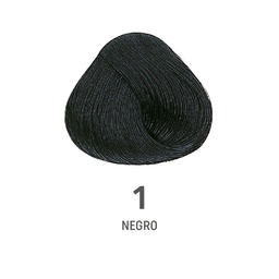 [8022297127910] TINTE COLOR AMORE ALFAPARF #1