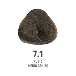 [8022297202495] TINTE COLOR AMORE ALFAPARF #7.1 (8022297128085)