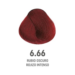 [8022297128146] TINTE COLOR AMORE #6.66 RUBIO OSCURO ROJIZO INTENSO