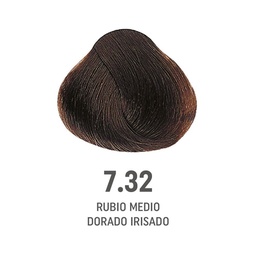 [8022297128191] TINTE COLOR AMORE ALFAPARF #7.32