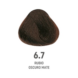 [8022297202563] TINTE COLOR AMORE ALFAPARF #6.7 (8022297128214)